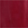 DARK RED color swatch for Detailed Leather Jacket.